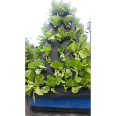 農業用温室野菜の栽培のための垂直エアロポニクスシステム