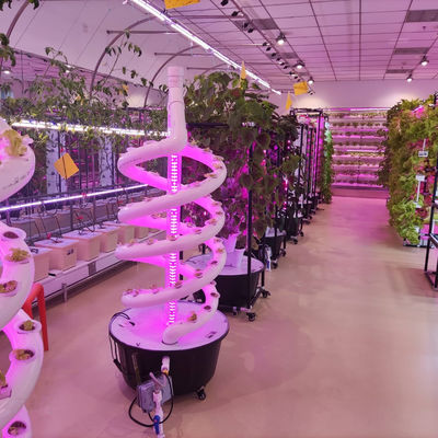 植物 ダブルヘリックス 水産物回転農業 NFT 水産物回転システム