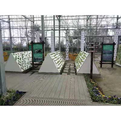 卸売 工場価格 多層温室での空調栽培野菜の販売