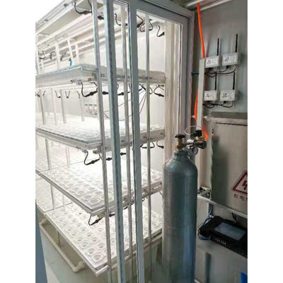 コンテナ農場 水素栽培栽培システム 多スパン農業温室