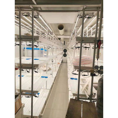 コンテナ農場 水素栽培栽培システム 多スパン農業温室