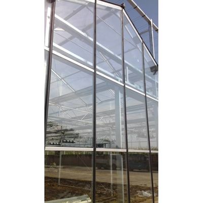 高強度農業用ポリトンネル温室/トマト温室