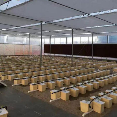 温室作物栽培のためのオランダのバケット水栽培