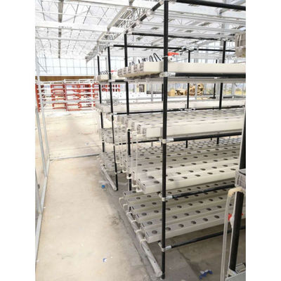 温室農業 現代の農業のための垂直工場