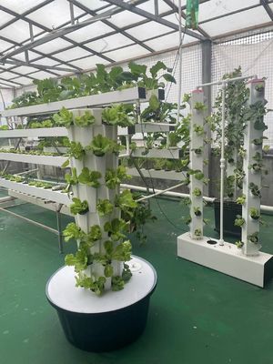 エアロポニックタワー 垂直水育システム バランコ 野菜 土のない栽培