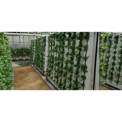 家庭 スパイラル 植物 成長 水培 塔 室内 野菜 栽培 水培