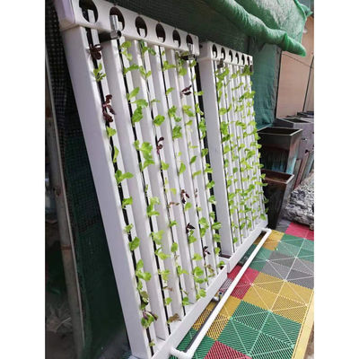 C-Growart 農場 水栽培栽培システム 植物の成長のための土壌のない栽培