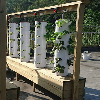 家庭 完全に自動 小型水栽培 庭 栽培 植物 システム 垂直 家庭 商業用