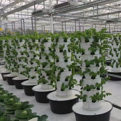 家庭 完全に自動 小型水栽培 庭 栽培 植物 システム 垂直 家庭 商業用