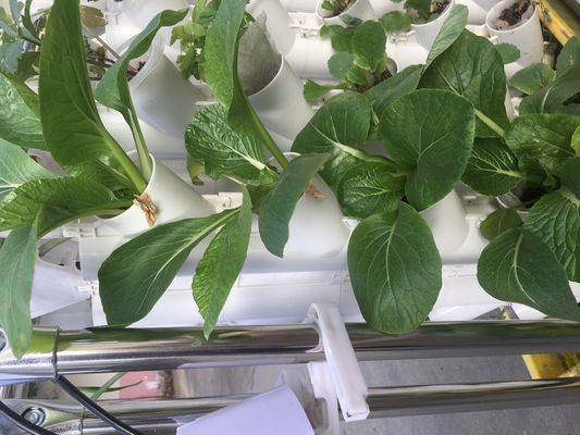 土のない栽培または基板栽培 植樹塔 ガーデニング