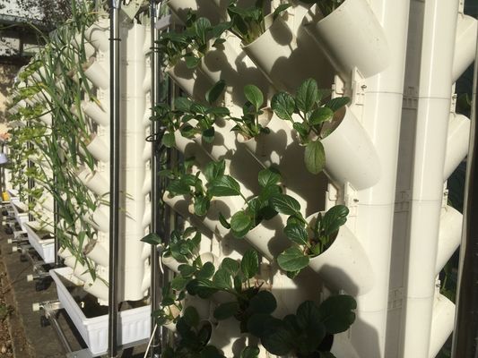 土のない栽培または基板栽培 植樹塔 ガーデニング