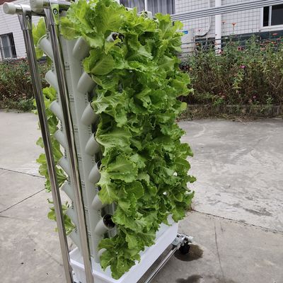 土のない栽培または基板栽培 植樹塔 ガーデニング