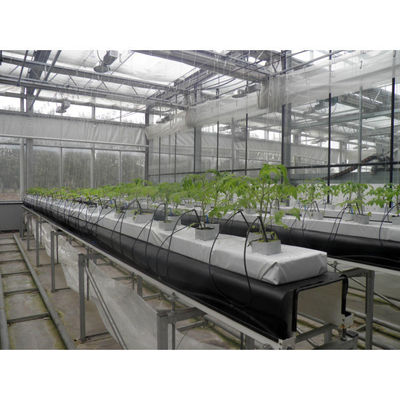 ストロベリー植えるタンク 3次元栽培ラック 食品級