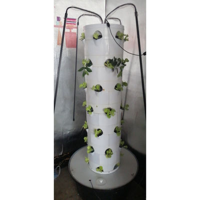 LED 照明で野菜とストロベリーのための水栽培システム