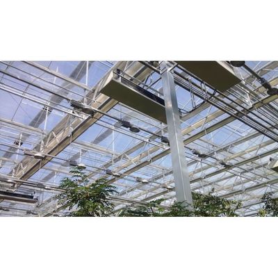 農業 多スパンガラス温室 水栽培温室 白