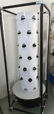 垂直水素栽培システム 野菜とストロベリー