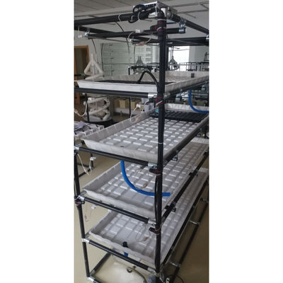 プロフェッショナル 垂直 種まき 洪水 テーブル 水産 栽培 スタック