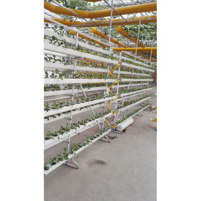 野菜と花を栽培するための最高のガーデン垂直水栽培システム NFT
