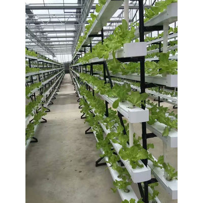 野菜と花を栽培するための最高のガーデン垂直水栽培システム NFT