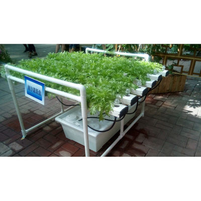 NFT DFT ガーデン 垂直水培養栽培塔システム 農業