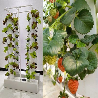 インテリジェント水栽培 垂直庭園 植樹植物 NFT 栽培システム