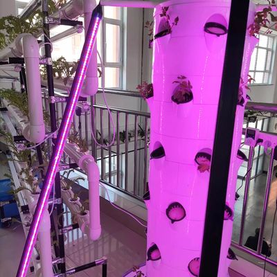 LED を搭載した野菜とストロベリーのための新しい垂直水力栽培システム