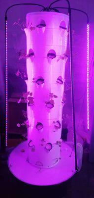 LED を搭載した野菜とストロベリーのための新しい垂直水力栽培システム