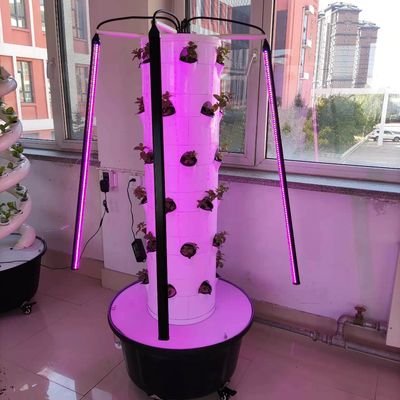 LED を搭載した野菜とストロベリーのための新しい垂直水力栽培システム