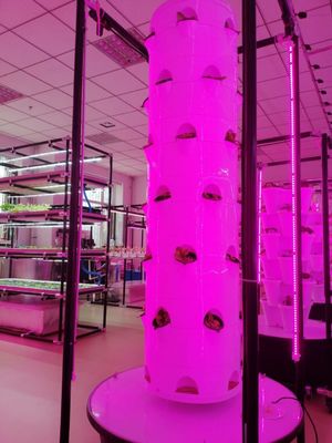 LED を搭載した野菜とストロベリーのための新しい垂直水力栽培システム