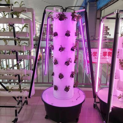 水栽培システム エアペッタ ストロベリーと葉の野菜をライトで回転させる