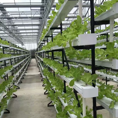商業用 NFT 水栽培栽培システム 温室 NFT 水栽培チャンネル