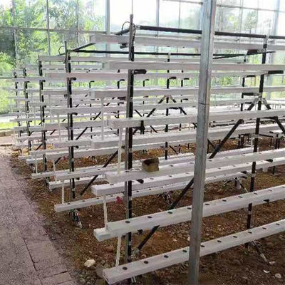 商業用 NFT 水栽培栽培システム 温室 NFT 水栽培チャンネル