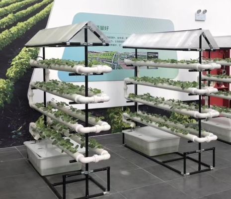商業用 NFT 水栽培栽培システム 温室 NFT 水栽培チャンネル