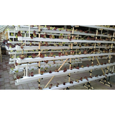 新入荷 水栽培 NFT温室システム PVCパイプ栽培キット 室内・庭園