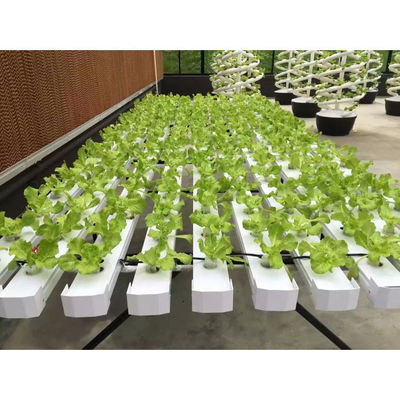 新入荷 水栽培 NFT温室システム PVCパイプ栽培キット 室内・庭園