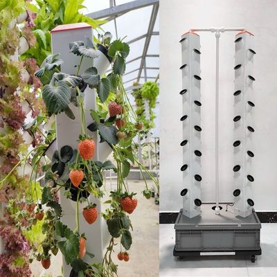 完璧な垂直列 水素式空中植樹システム 空中植樹塔
