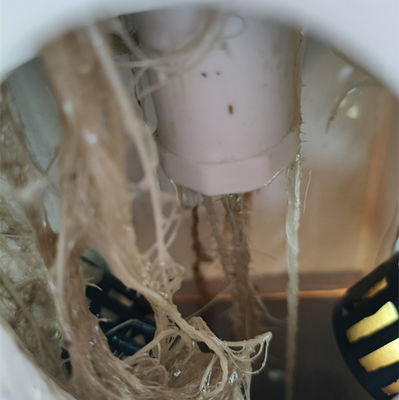完璧な垂直列 水素式空中植樹システム 空中植樹塔