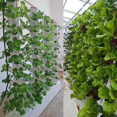 完璧な垂直列 水素式空中植樹システム 空中植樹塔