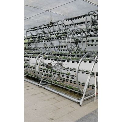 水産栽培システム 水産栽培 野菜栽培