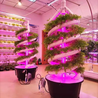 ダブルヘリックス 水栽培室内ガーデン垂直水栽培栽培システム