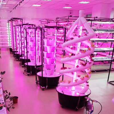 植物 ダブルヘリックス 水産物回転農業 NFT 水産物回転システム