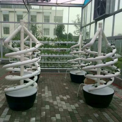 植物 ダブルヘリックス 水産物回転農業 NFT 水産物回転システム