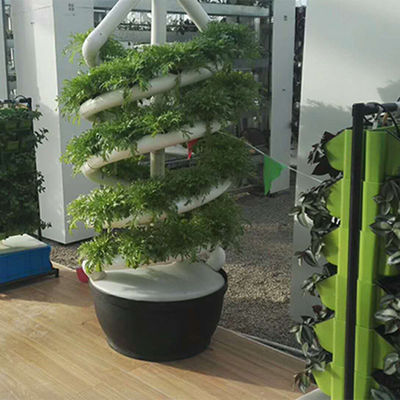 植物 ダブルヘリックス 水産物回転農業 NFT 水産物回転システム