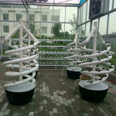 植物 ダブルヘリックス 水産物回転農業 NFT 水産物回転システム