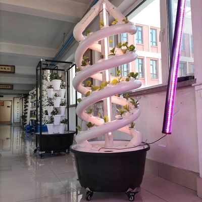 家族の縦の螺線形の植物はHydroponicタワーの屋内野菜エーロゾルの耕作を育てる