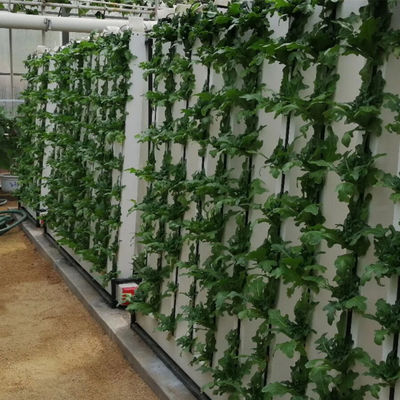 Zipgrow 水栽培室内庭園植物 LEDライト付き水栽培システム