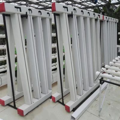 Zipgrow 水栽培室内庭園植物 LEDライト付き水栽培システム