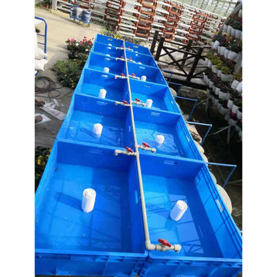 温室水栽培 栽培システム 魚類と野菜のための水槽
