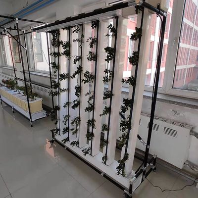 商業用水栽培 Nft ストロベリーと花の垂直栽培システム