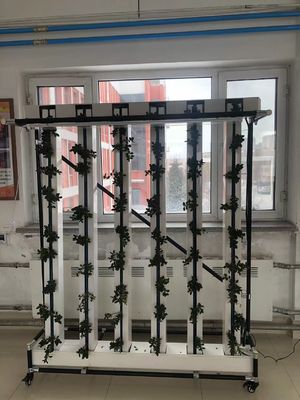 商業用水栽培 Nft ストロベリーと花の垂直栽培システム